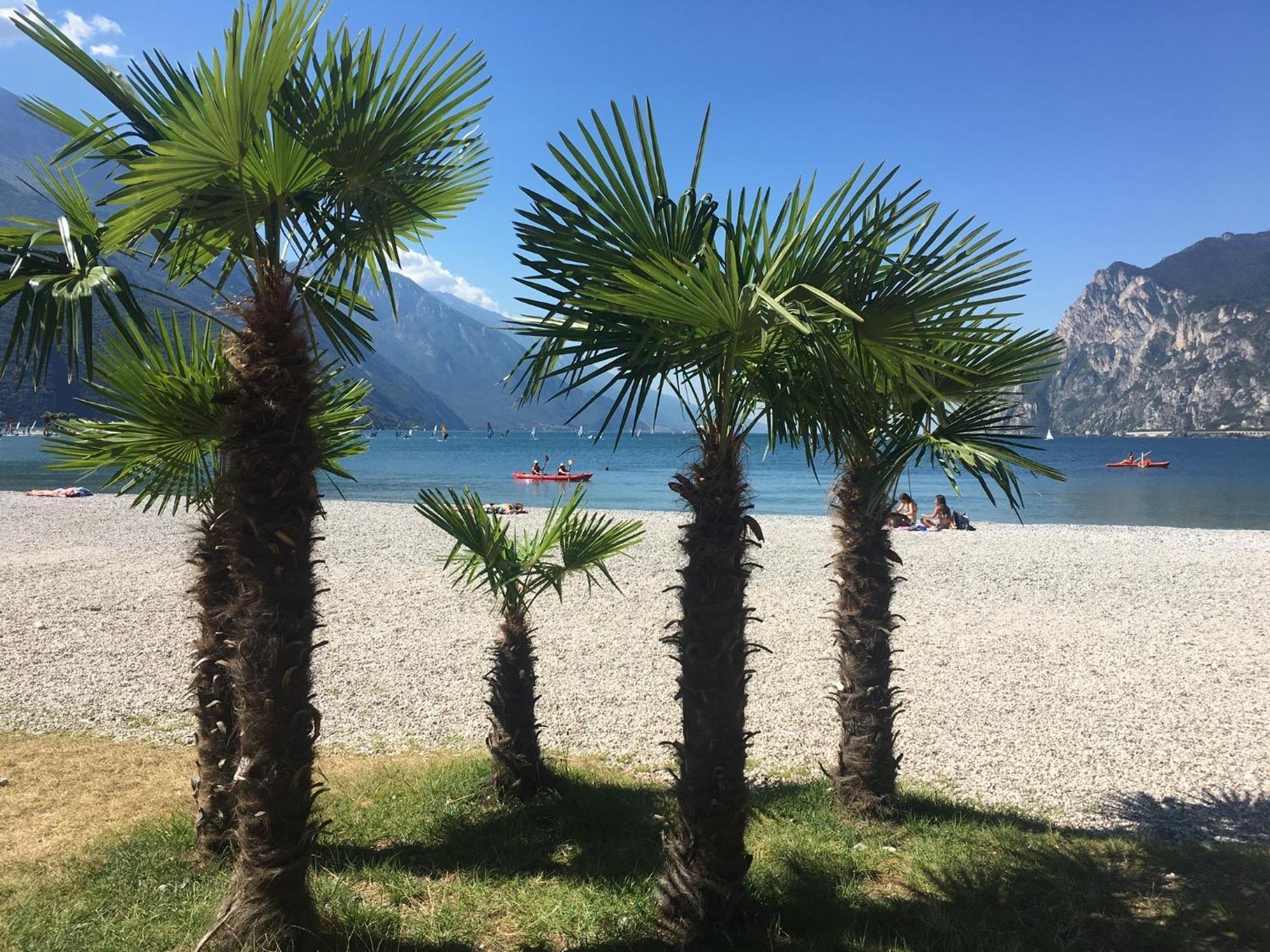 Outdooredo Garda Torbole Torbole Sul Garda Eksteriør billede